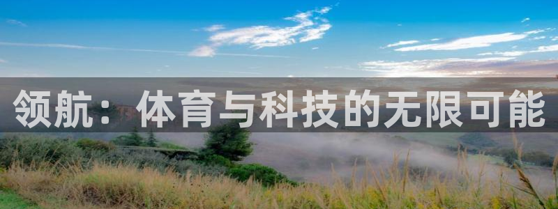 杏悦2股份