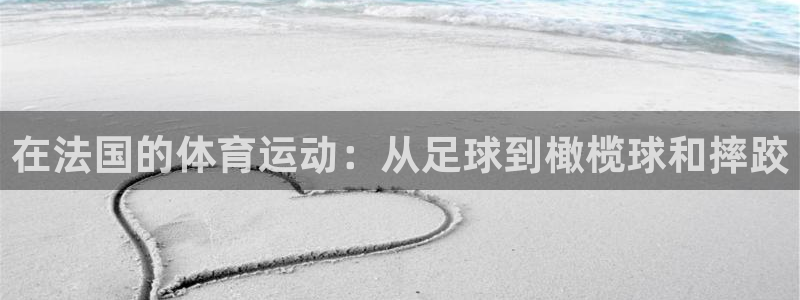 杏悦2平台招商