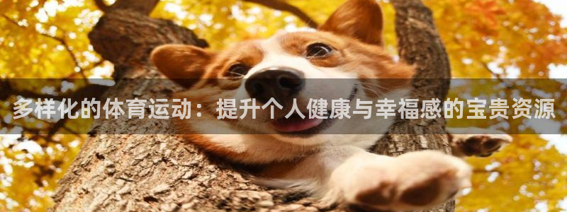杏悦22登录入口