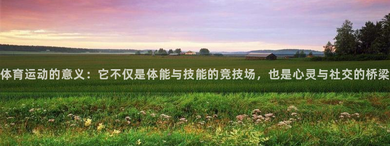 杏悦2代理