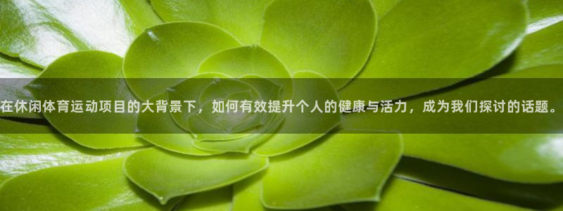 杏悦2官网注册