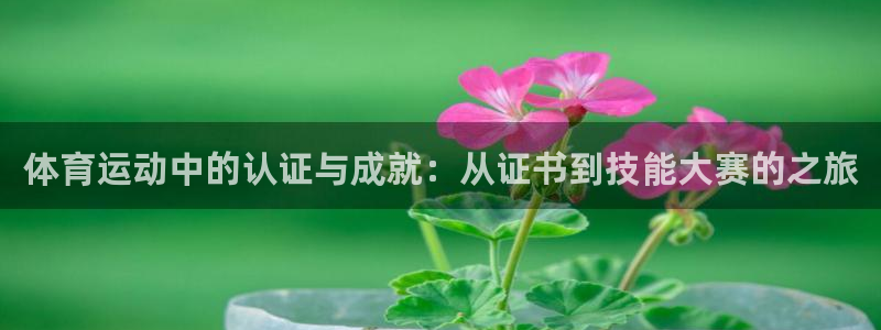 杏悦2体育平台登录入口