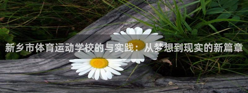 上海杏悦2汽车电子有限公司