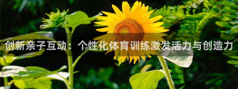 杏悦2平台注册
