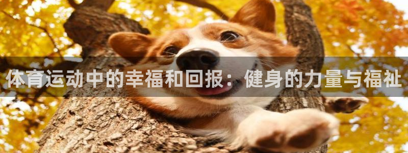 杏悦2体育凯捷代理注册