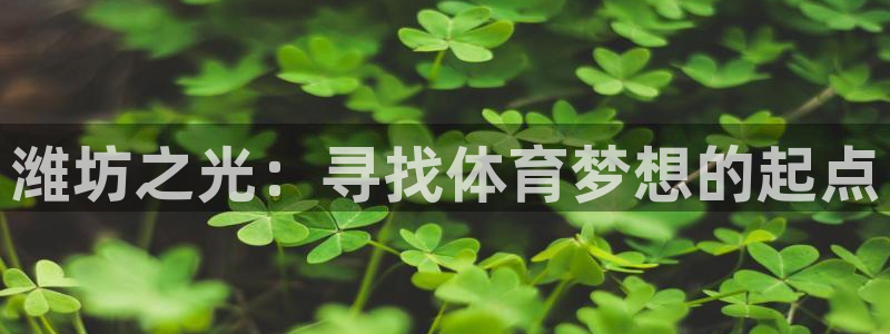 杏悦2f凯捷注册