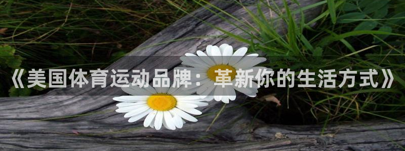 杏悦23官网