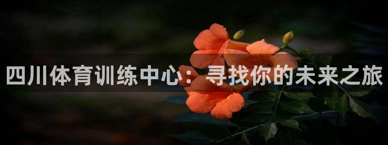 杏悦2官网