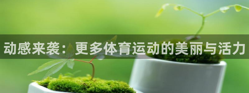 杏悦2体育1招商