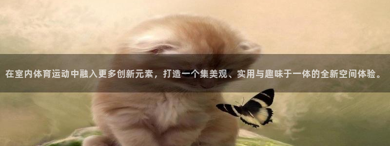 杏悦2平台注册入口
