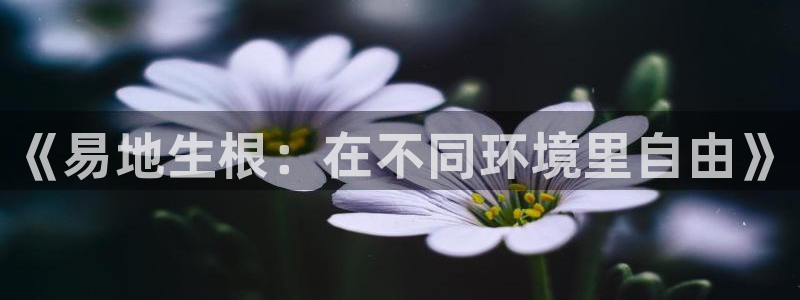 杏悦2体育网页版入口