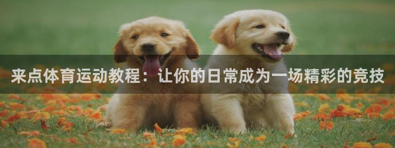 杏悦2官网登录入口
