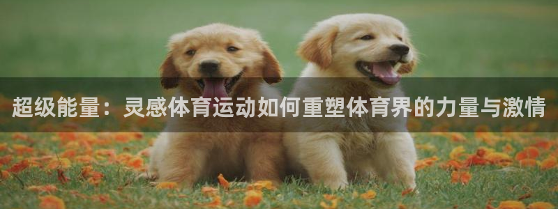 杏悦2凯捷注册