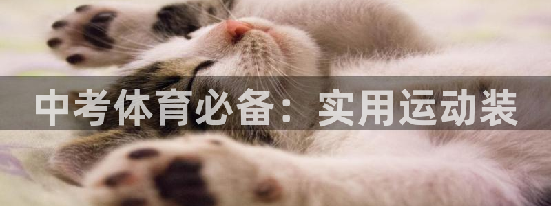 杏悦2体育官网入口登录