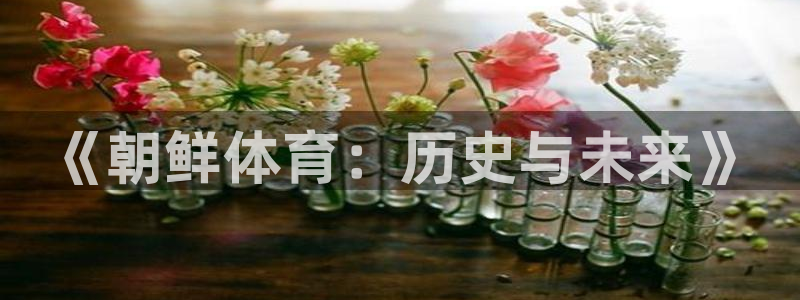 杏悦24平台