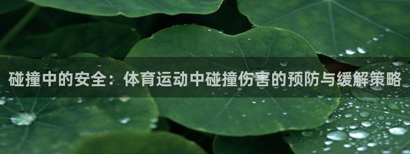 杏悦24