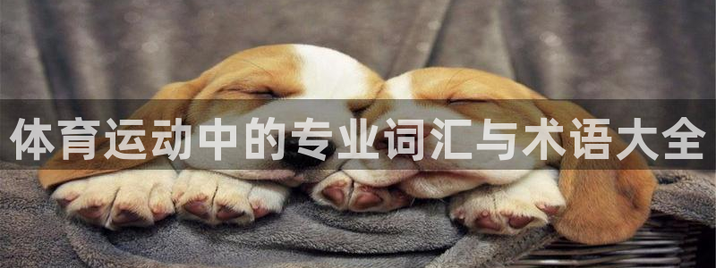 杏悦23代理