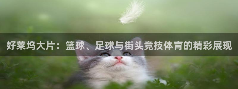 杏悦2平台官网